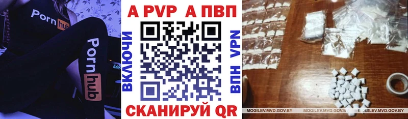 купить наркотики цена  Звенигово  блэк спрут как войти  A PVP VHQ 