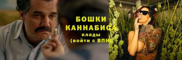 мдпв Вязьма
