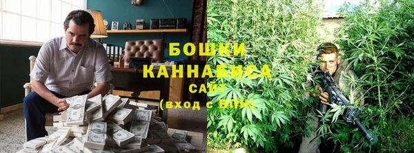стаф Вязники