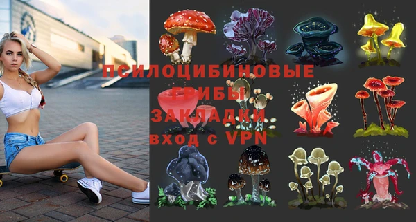 мдпв Вязьма