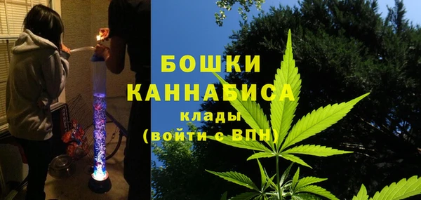 мдпв Вязьма